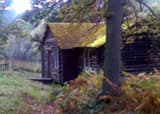 Countess Wood