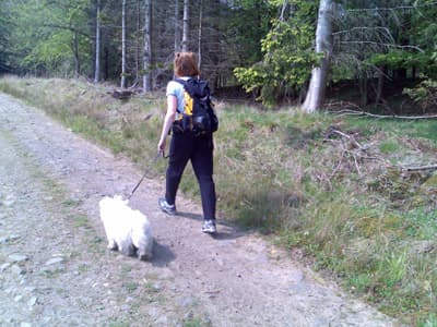 Pips strides out