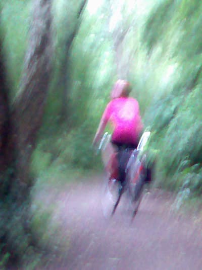 On the move