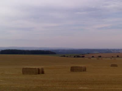 Up towards Ryal
