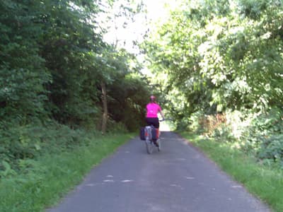 Bingfield