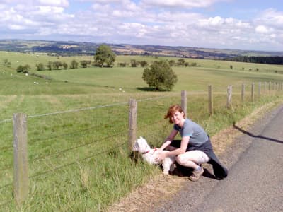 Sheep