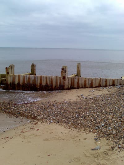 Sea and Seals