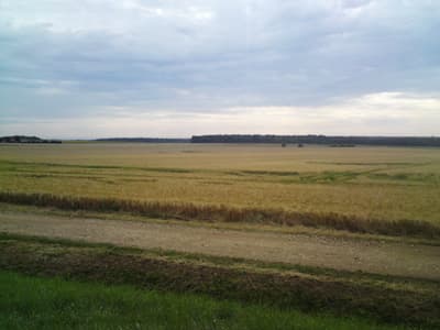 Wide open spaces