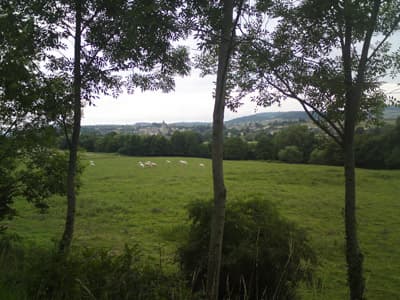 Cluny