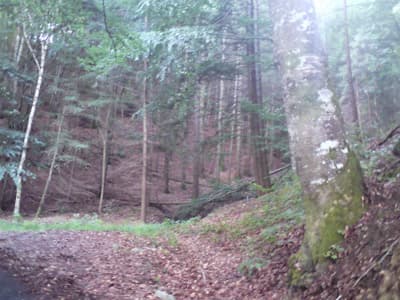 Hills