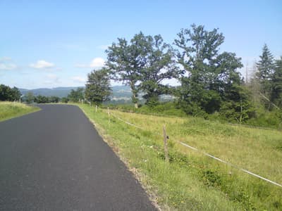 Flat and pretty