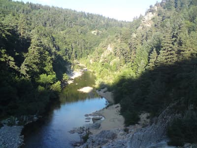 Head of the Loire