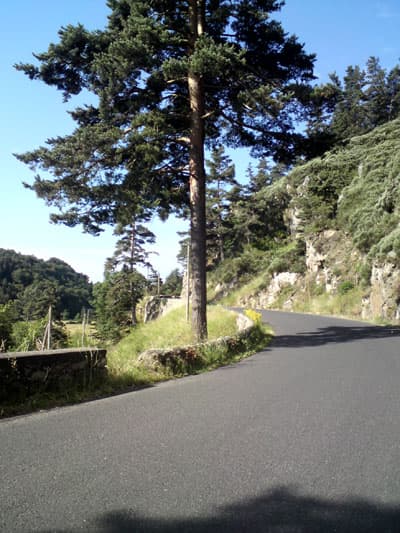 Nearly at the top