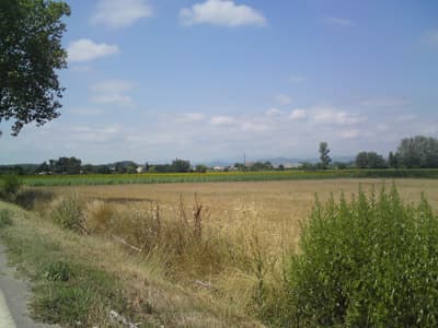 Flat, I love flat