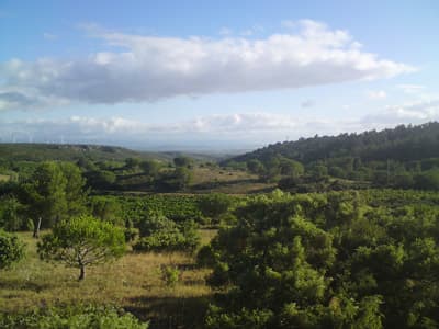 View back to Nevian