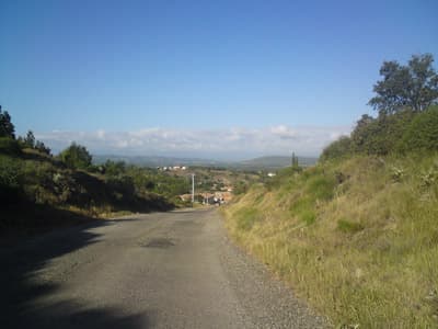 Into Bizanet
