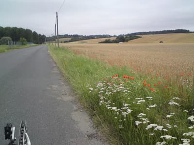 Busy Roads