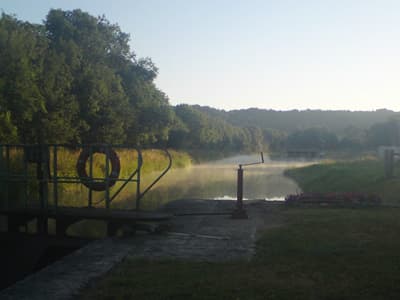 Mist