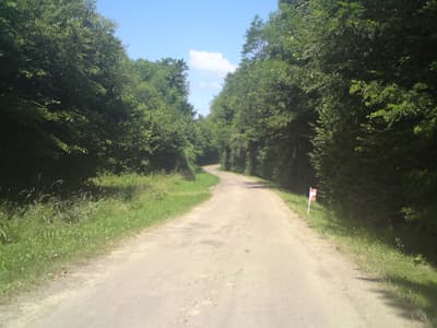 Back roads