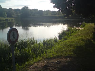 Prohibitions