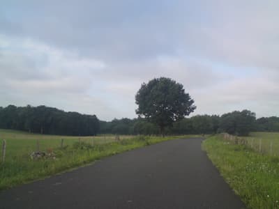 Heaven on a bike