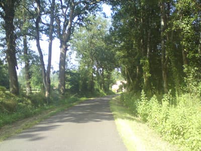 Wooded hills by a river