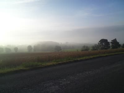 Mist again