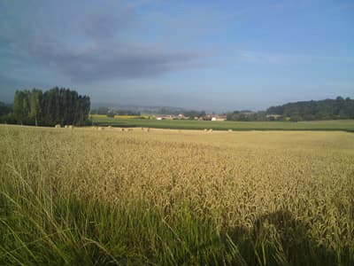 The Dordogne, Aquitaine