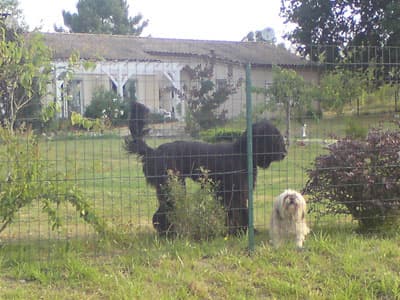 Les Tuilières to La Réole