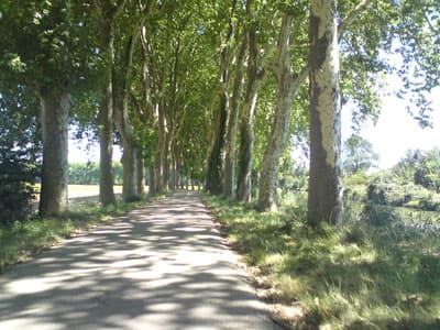Canal again