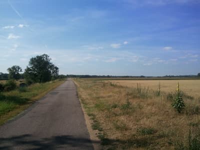 Velo-route du Loire