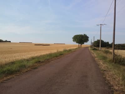 Quiet Roads Again
