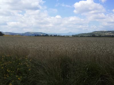 Lezoux