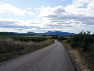 South