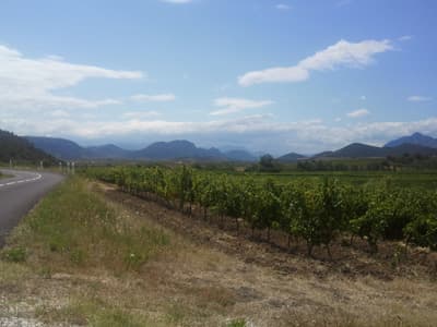 Western Hills
