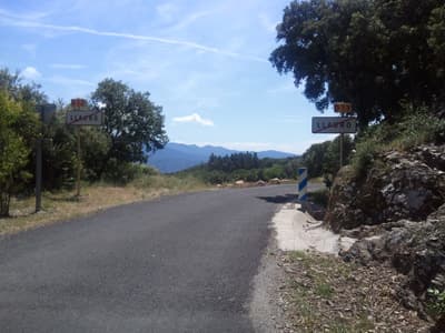 Llauro
