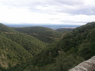 View back