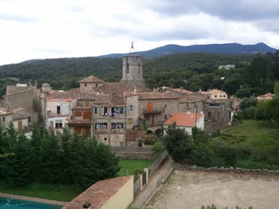 View from my window