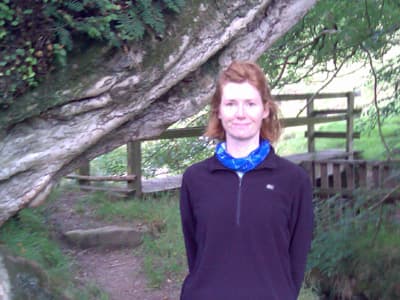 Wooded glen