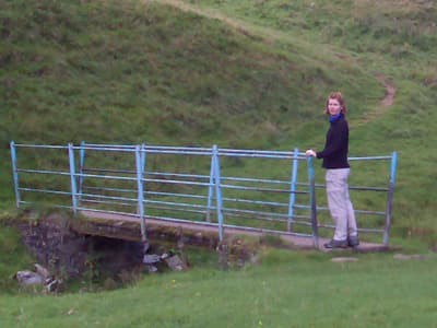 The blue bridge