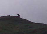 Two day's, one night, in Little Langdale