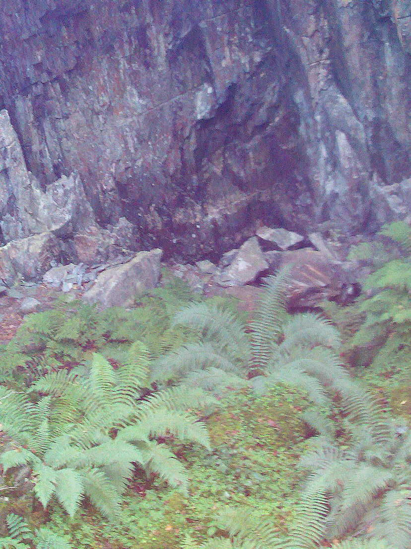 Quarry